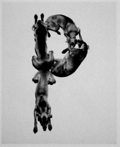 Image description is not available for 2001.074